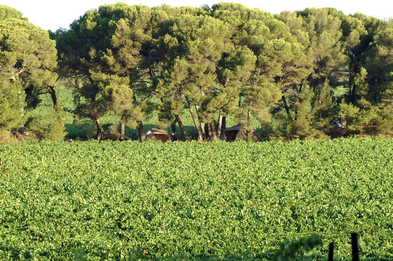 Saint Paul Le Marseillais Tentes Equippees Hebergements Insolites Luxury tent